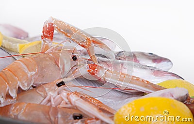 Seafood plate, in Silver Restaurant Cloche Stock Photo