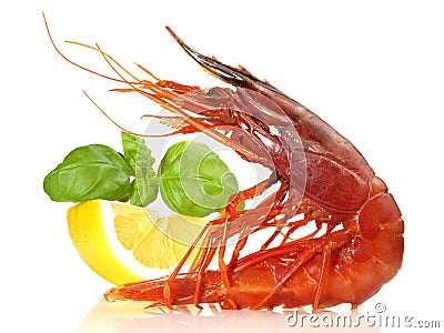 Seafood - Prawn - Shrimp Carabinero isolated on white Background Stock Photo
