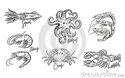 Seafood set. Hand drawn vector illustrations. Isolated on white background Cartoon Illustration