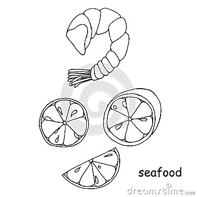 Seafood shrimp, prawn lemon slice sketch, objects isolated on white Vector Illustration