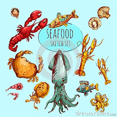 Seafood Sketch Colored Vector Illustration