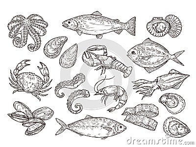 Seafood sketch. Vintage fish, drawing food. Delicious shrimp, shell squid. Sea cuisine, grilled crab calamari. Fresh raw Vector Illustration