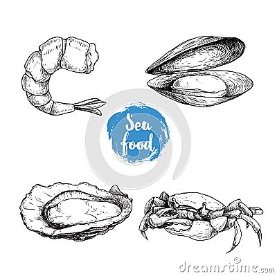 Seafood sketches set. Cooked grilled shrimp, opened mussel and oyster, crab. Sea market products collection. Vector illustration Vector Illustration