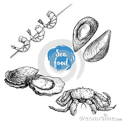 Seafood sketches set. Cooked grilled shrimps on bamboo stick, opened mussels, oyster and king crab. Sea market products collection Vector Illustration