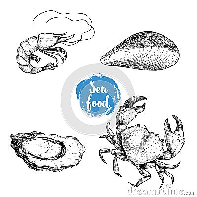 Seafood sketches set. Fresh shrimp, mussel, oyster and crab. Sea market products collection. Vector illustration Vector Illustration