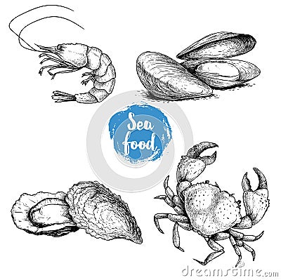 Seafood sketches set. Fresh shrimp, mussels and oysters, crab. Sea market products collection. Vector illustration Vector Illustration