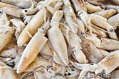 Seafood. Squids ( Calamari ) At Farmers Market. Healthy Food Eat Stock Photo