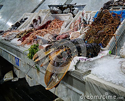 Seafood table at the Casablanca fishmarket, Morocco Stock Photo