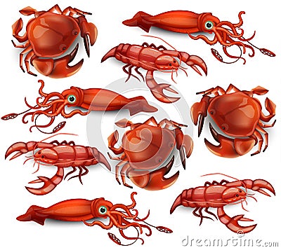 Seafood Vector set collecion crabs, cancer and squids Stock Photo