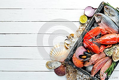 Seafood on a white background. Lobster, fish, shellfish. Top view. Stock Photo