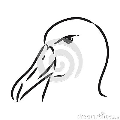 Seagull Albatross bird in flight with open wings sketch vector graphics black and white drawing Vector Illustration