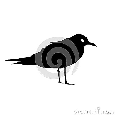 Seagull Bird black silhouette isolated on white background. illustration Cartoon Illustration