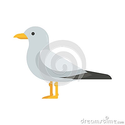 Seagull Bird Vector Illustration Vector Illustration