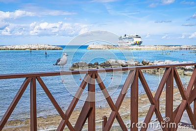 Seagull and blue water on private island in the Bahamas Editorial Stock Photo