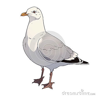 Seagull cartoon comic drawing , black outline, AI generated Stock Photo