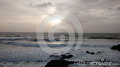 Seagull flight above silver withe sea Stock Photo