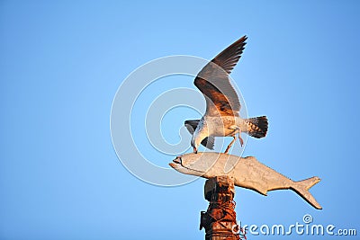 Seagull hunting artificial fish Stock Photo
