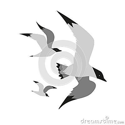 Seagull flight icon Vector Illustration