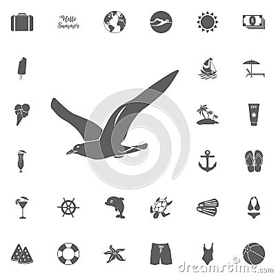 Seagull Icon Vector. Stock Photo