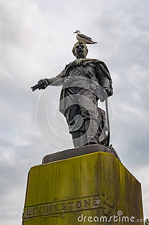 Seagull laid over the head of the Livingstone statue, Edinburgh Stock Photo