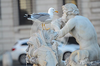 A large gull with a yellow beak stands on a large gray stone and waits for tourists to feed in the Italian city of Rome Stock Photo