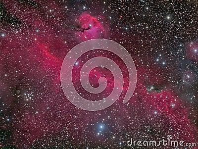 The Seagull Nebula Stock Photo