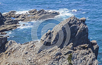 Seagull nest placed over cliff peak Stock Photo