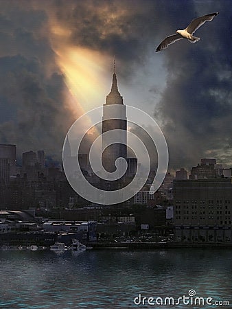 Seagull over Manhattan Editorial Stock Photo