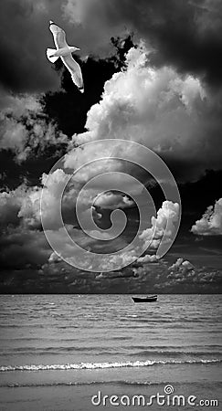 Seagull over the sea. Black & white art photo. Stock Photo