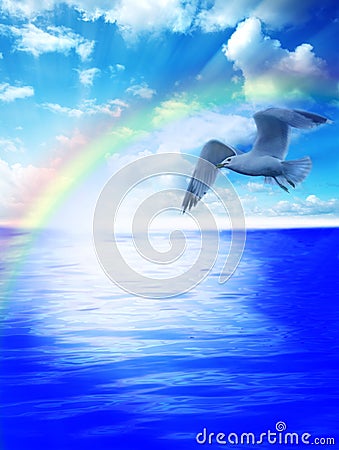 Seagull over the waters Stock Photo