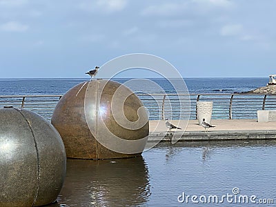 Seagull perched on a round bronze statue on the shoreline Stock Photo