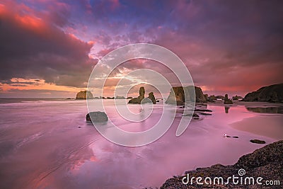 Seagull, seastacks and colorful clouds Stock Photo