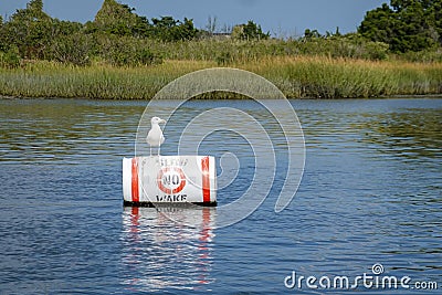 A seagull seen sitting on a white barrel buoy that says no wake on smooth water near a grassy swamp Stock Photo