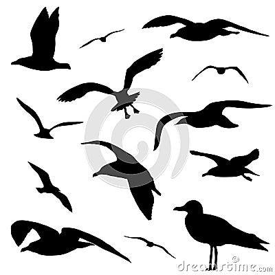 Seagull silhouette set isolated on white background vector Vector Illustration