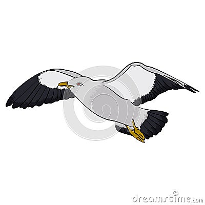 Seagull in the sky. vector Illustration Vector Illustration