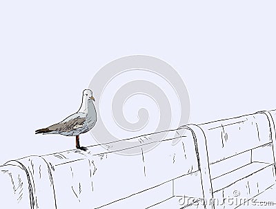 Seagull standing on a concrete bridge . Vector Illustration