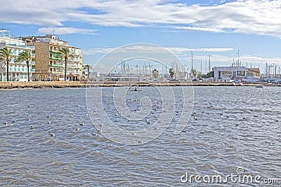 Seagulls in bay and BQ Aquamarina oceanfront hotel in strong winds Editorial Stock Photo