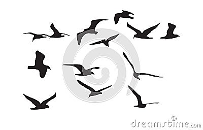 Seagulls black silhouette on white background. Vector Vector Illustration