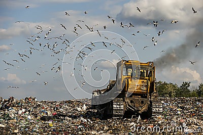 Seagulls fly over piles of garbage. A bulldozer tractor works at a large landfill near Kyiv, Ukraine. May 2016 Editorial Stock Photo