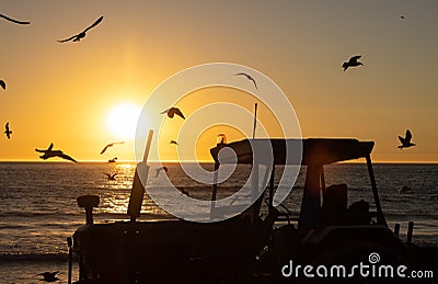 Seagulls fly over the sea at sunset - a tractor that helps in fishing stands on the shore Stock Photo