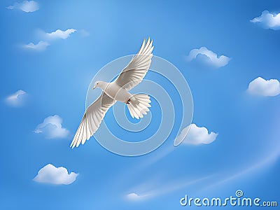 Seagulls flying in the blue sky Stock Photo