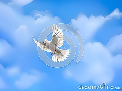 Seagulls flying in the blue sky Stock Photo