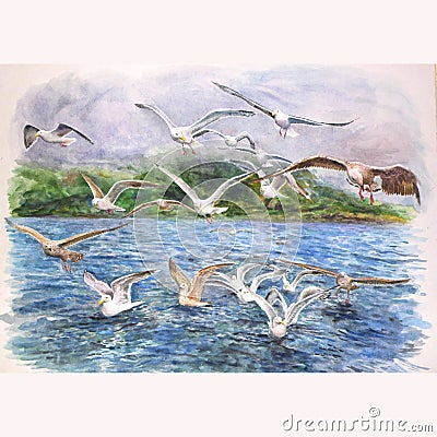 Seagulls flying over the sea Cartoon Illustration