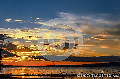 Seagulls flying over the Waskesiu Lake in summer sunset Stock Photo