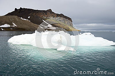 Seagulls on the iceberg Stock Photo