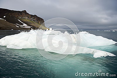 Seagulls on the iceberg Stock Photo