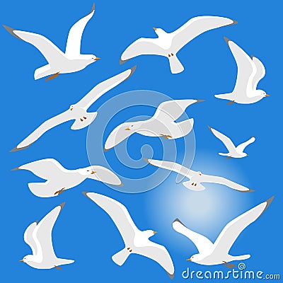 Seagulls isolated on blue background Vector Illustration