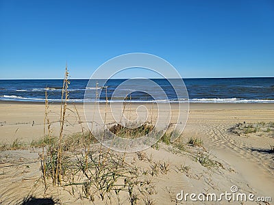 Seaoats Seagulls ocean beach fence ocean water salt life Stock Photo