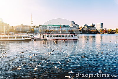 Seagulls and passenger crafts on Alster Lake in Hamburg Stock Photo
