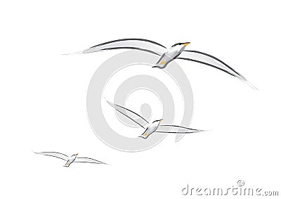 Seagulls (vector) Vector Illustration